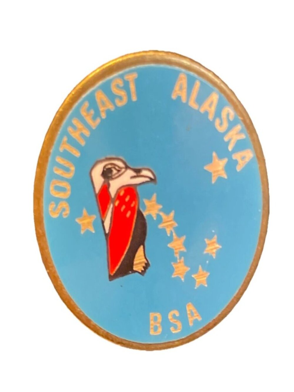 BSA Boy Scout Hat Pin Vintage Southeast Alaska Council Eagle Raven